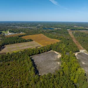 Photo #31 of SOLD property in Off Sids Mill Road, Fayetteville, NC 151.6 acres