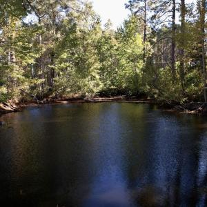 Photo #12 of Off Highway 9, Dillon, SC 26.3 acres