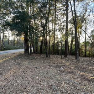 Photo #17 of SOLD property in 0 NC Hwy 87 E, Council, NC 2.7 acres