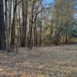 Photo #14 of SOLD property in 0 NC Hwy 87 E, Council, NC 2.7 acres