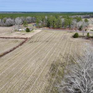 Photo #11 of SOLD property in Off Old Brick Road, Vanceboro, NC 12.0 acres