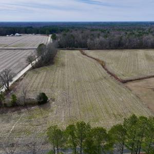 Photo #3 of SOLD property in Off Old Brick Road, Vanceboro, NC 12.0 acres
