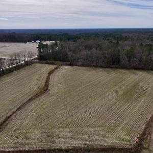 Photo #5 of SOLD property in Off Old Brick Road, Vanceboro, NC 12.0 acres