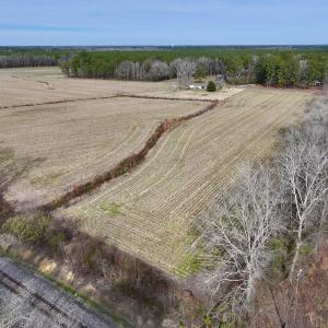 Photo #9 of SOLD property in Off Old Brick Road, Vanceboro, NC 12.0 acres