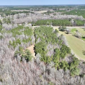 Photo #9 of SOLD property in Off Roxobel Road, Rich Square, NC 13.6 acres