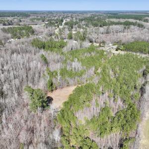 Photo #10 of SOLD property in Off Roxobel Road, Rich Square, NC 13.6 acres