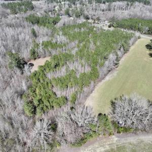 Photo #11 of SOLD property in Off Roxobel Road, Rich Square, NC 13.6 acres