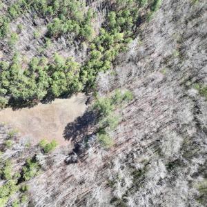 Photo #18 of SOLD property in Off Roxobel Road, Rich Square, NC 13.6 acres