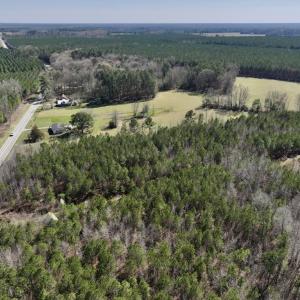 Photo #4 of SOLD property in Off Roxobel Road, Rich Square, NC 13.6 acres