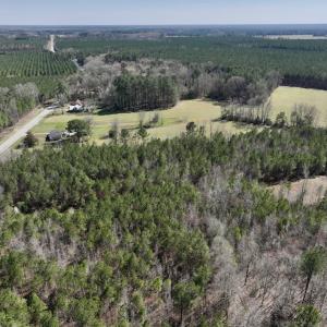 Photo #5 of SOLD property in Off Roxobel Road, Rich Square, NC 13.6 acres