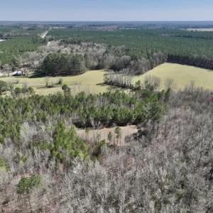 Photo #6 of SOLD property in Off Roxobel Road, Rich Square, NC 13.6 acres