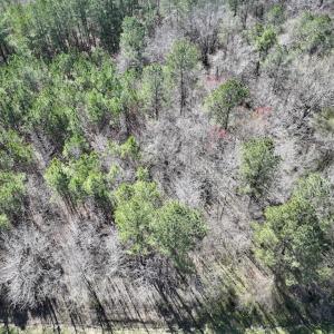 Photo #23 of SOLD property in Off Roxobel Road, Rich Square, NC 13.6 acres
