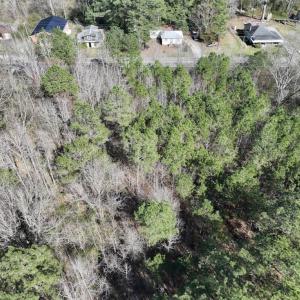 Photo #26 of SOLD property in Off Roxobel Road, Rich Square, NC 13.6 acres