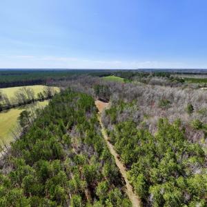 Photo #30 of SOLD property in Off Roxobel Road, Rich Square, NC 13.6 acres