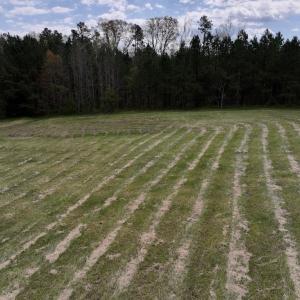 Photo #14 of SOLD property in Off Bessie Hicks Road, Norlina, NC 3.0 acres