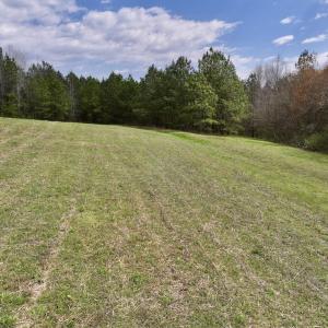 Photo #16 of SOLD property in Off Bessie Hicks Road, Norlina, NC 3.0 acres