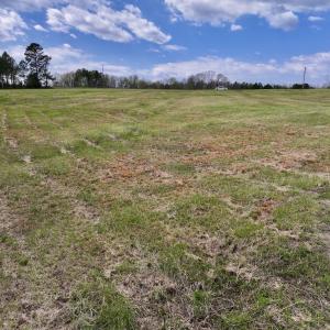 Photo #17 of SOLD property in Off Bessie Hicks Road, Norlina, NC 3.0 acres