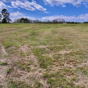 Photo #18 of SOLD property in Off Bessie Hicks Road, Norlina, NC 3.0 acres