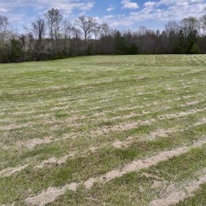 Photo #9 of SOLD property in Off Bessie Hicks Road, Norlina, NC 3.0 acres