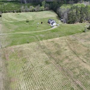Photo #10 of SOLD property in Off Bessie Hicks Road, Norlina, NC 3.0 acres