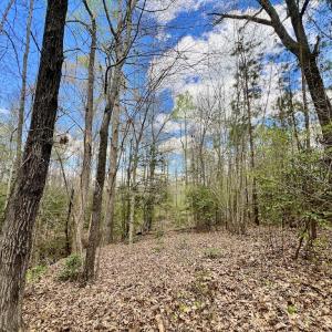 Photo #1 of SOLD property in Off Bessie Hicks Road, Norlina, NC 19.0 acres