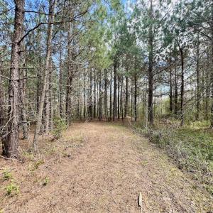Photo #8 of SOLD property in Off Bessie Hicks Road, Norlina, NC 19.0 acres