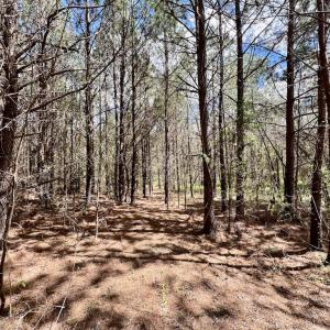 Photo #9 of SOLD property in Off Bessie Hicks Road, Norlina, NC 19.0 acres
