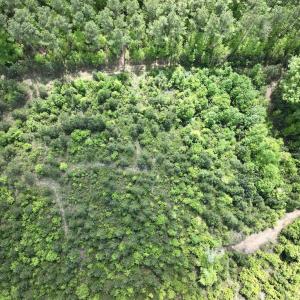 Photo #35 of Off Buck Rd, Middlesex, NC 98.0 acres