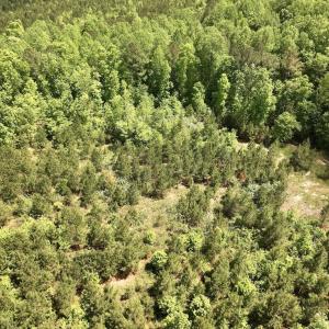 Photo #41 of Off Buck Rd, Middlesex, NC 98.0 acres