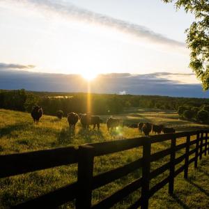Photo #1 of 510 MOUNT PLEASANT FARM ROAD, SCOTTSVILLE, VA 2,784.0 acres