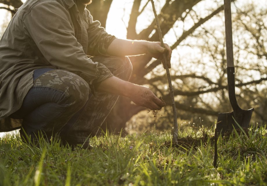 Man kneeling in woods