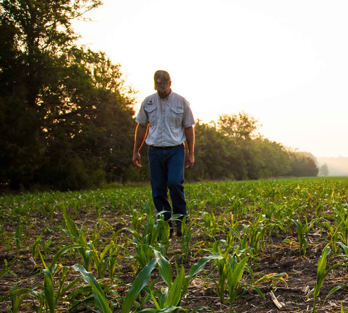 Man walking in field