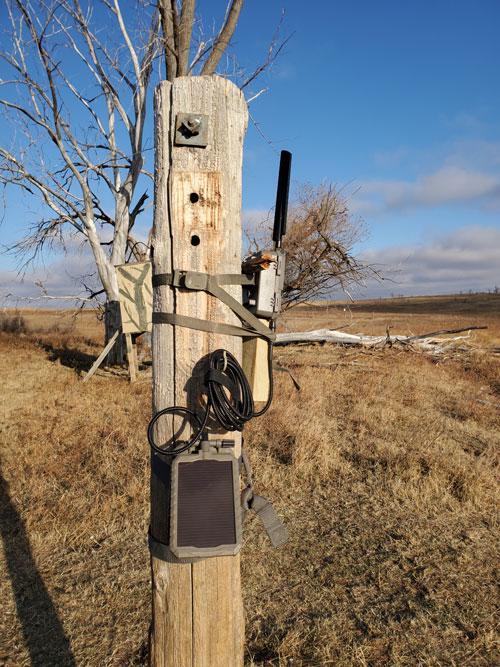 Mounted Cellular Game Camera