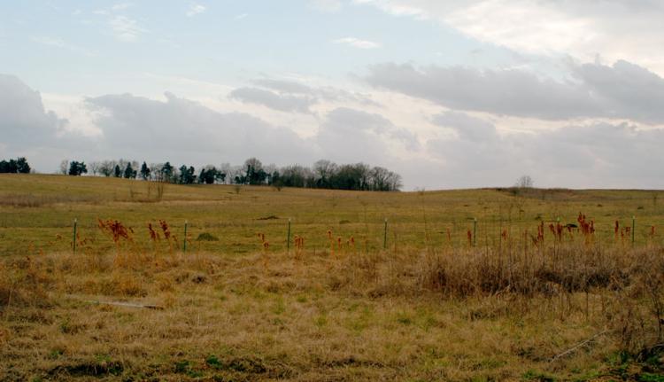 small-land-tract.jpg