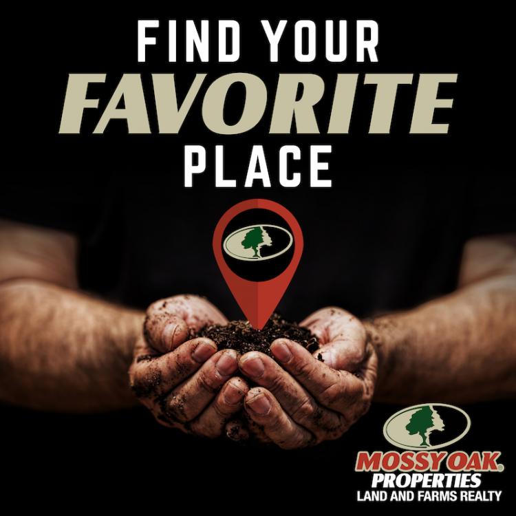 Find Your Favorite Place Podcast Cover Art