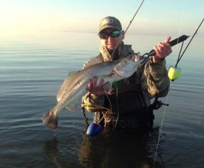 Speckled Trout