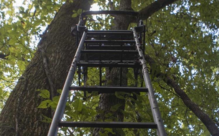 treestand-safety
