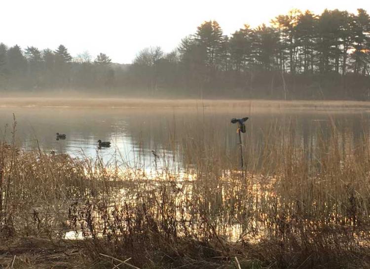 moving-duck-decoy