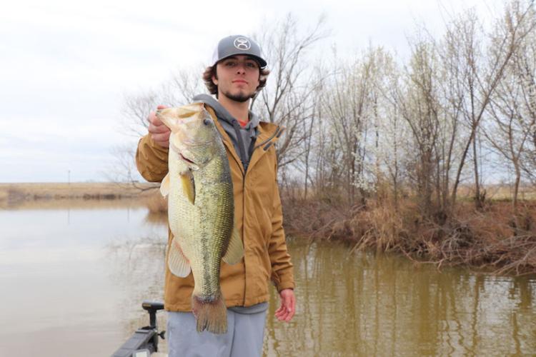 Baits-for-Spring-web