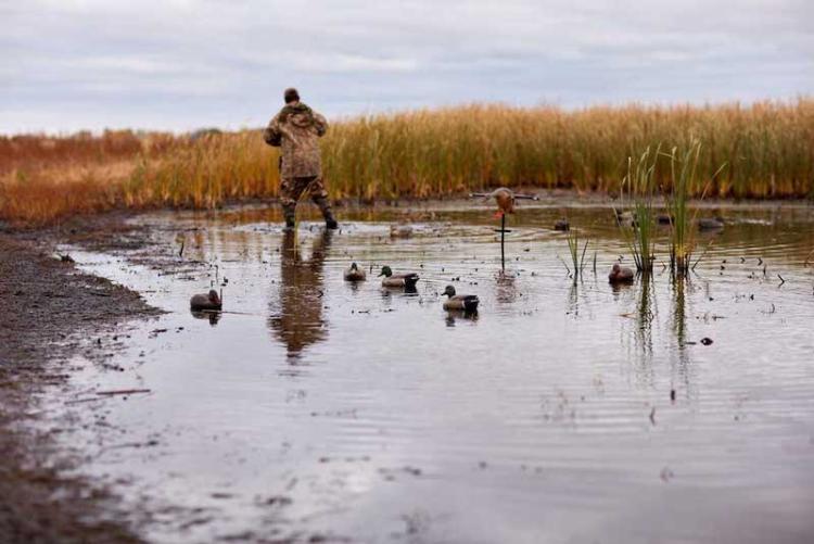 duck-hunting-decoys