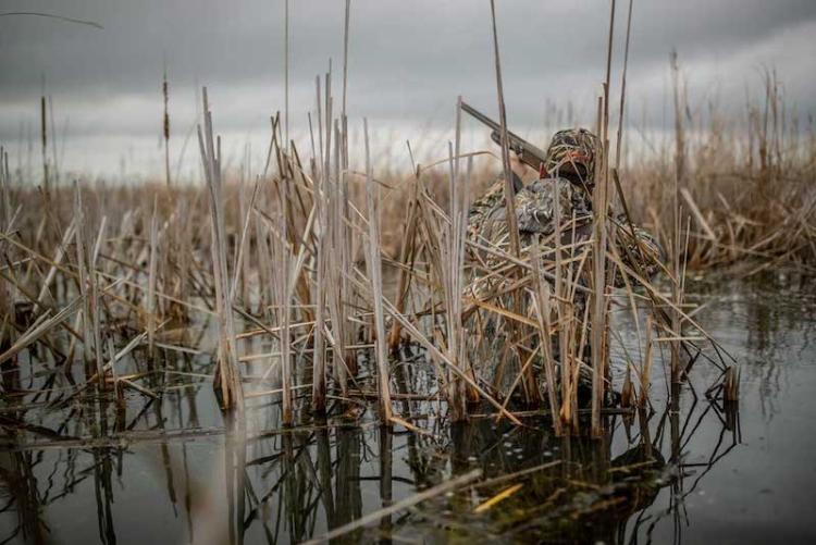 waterfowl-hunting