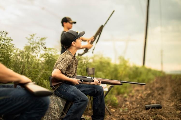 dove shooting