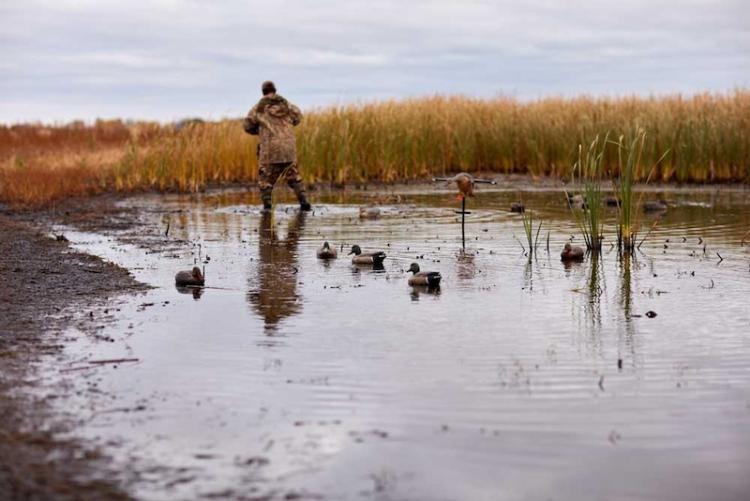 duck-hunting-decoys