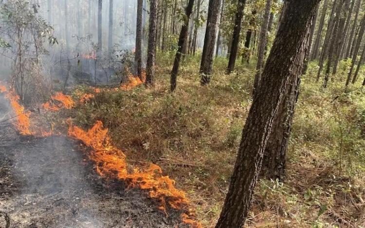 late-season-prescribed-burns