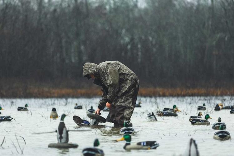 duck-decoy-setup