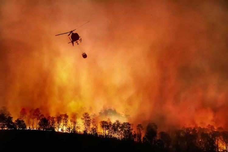 FIRE: UNDERSTANDING NATURE’S OLDEST MANAGEMENT TOOL