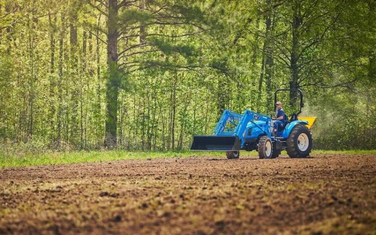 THE BEST SUMMER FOOD PLOTS FOR DEER