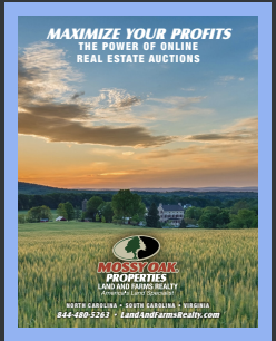Real Estate Auctions icon