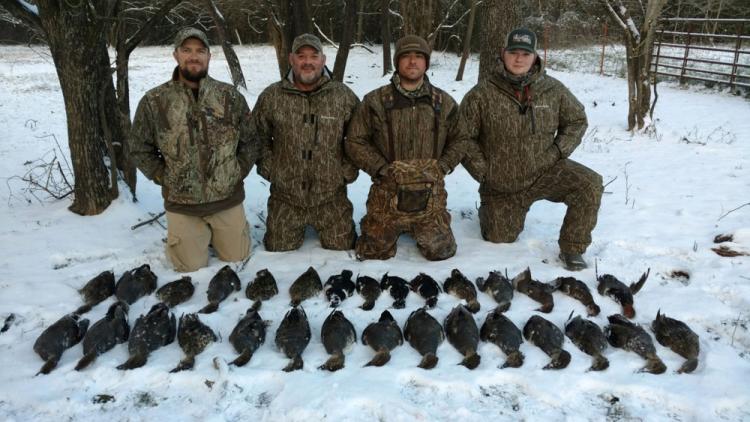 shane-smith-January-ducks.jpg