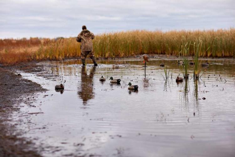 duck-hunting-decoys.jpg